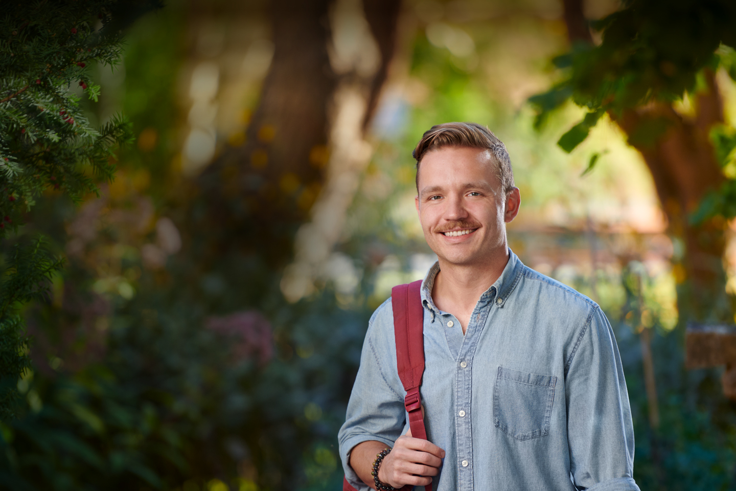 image-5 imagen of ramdon header image-5 imagen of ramdon header